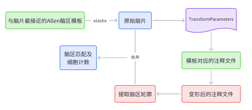 二维脑片配准流程图